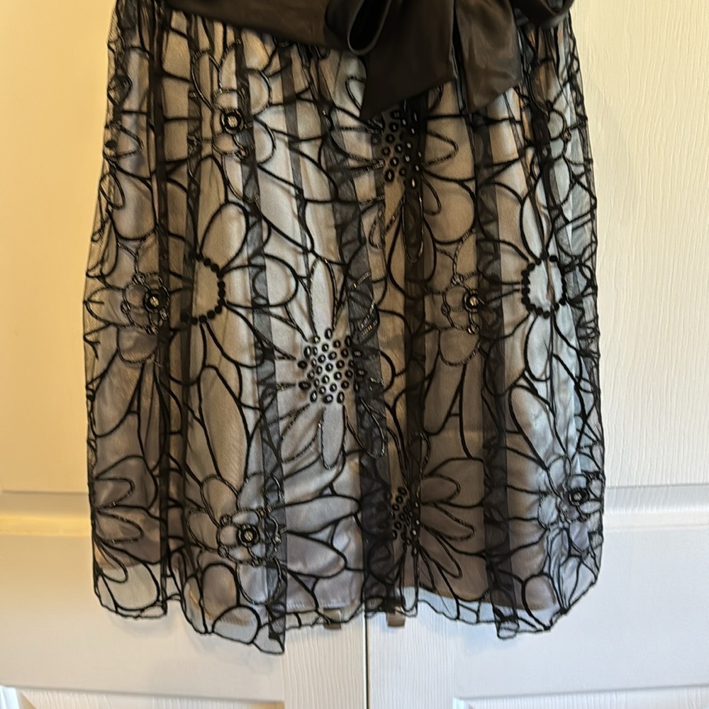 Dollar Brand Party Dress Gray with Black Floral Mesh Overlay Size XS - Picture 4 of 14